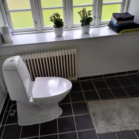 Cozy & Spacious For 4 Single Beds Vojens